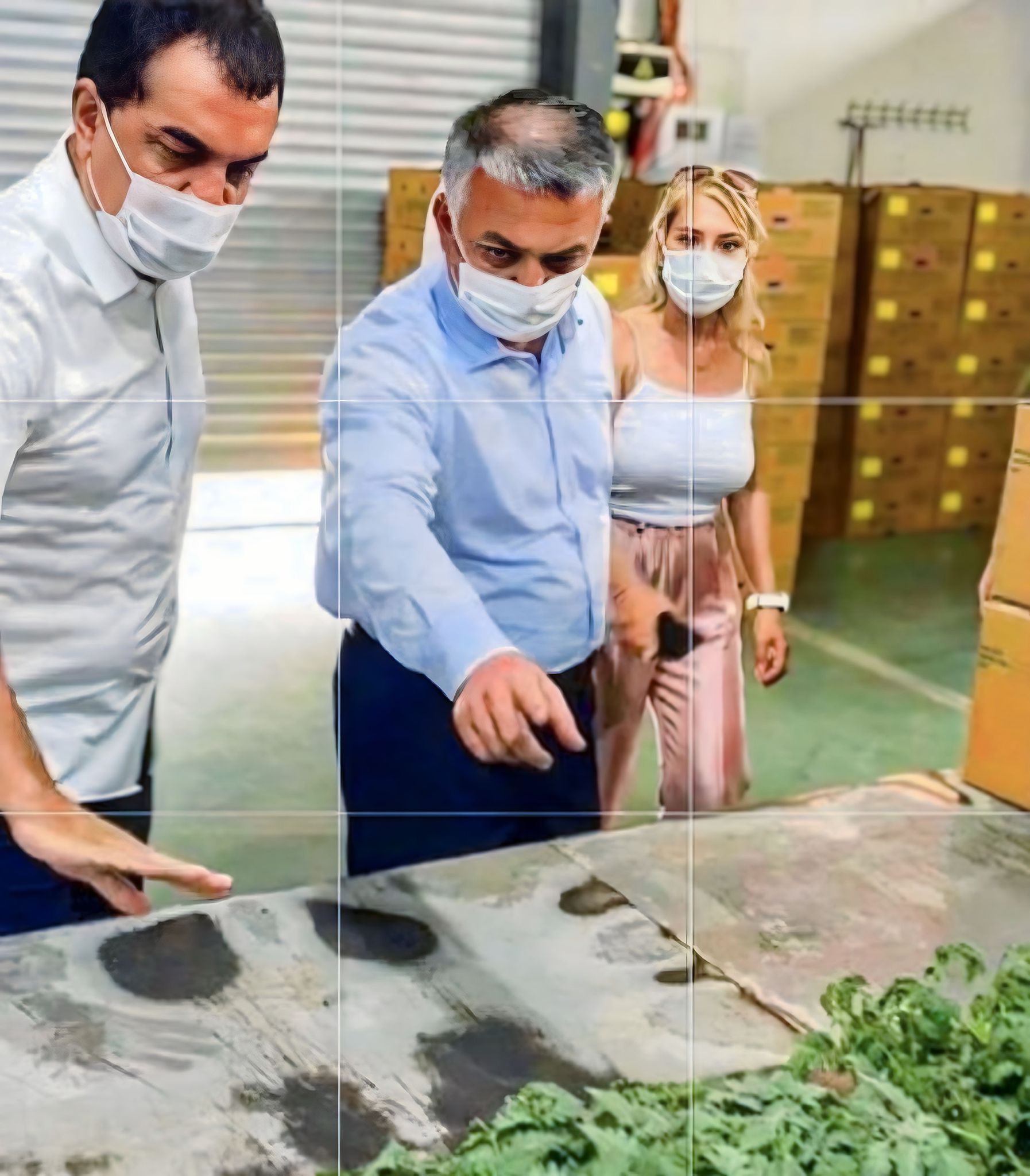 Bereket Fide'ye Ziyaret ve Sektörel Değerlendirme — 4