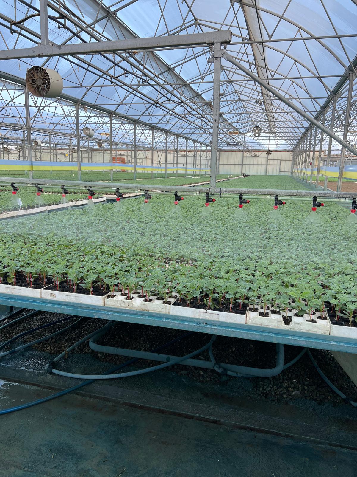 Bereket Fide contract manufacturing